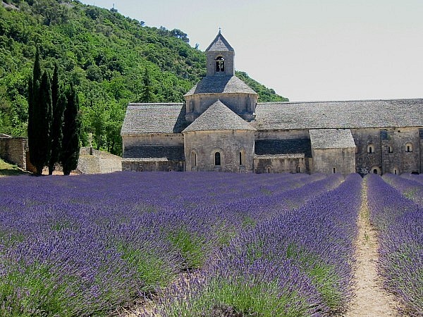 Abbaye de Senanque