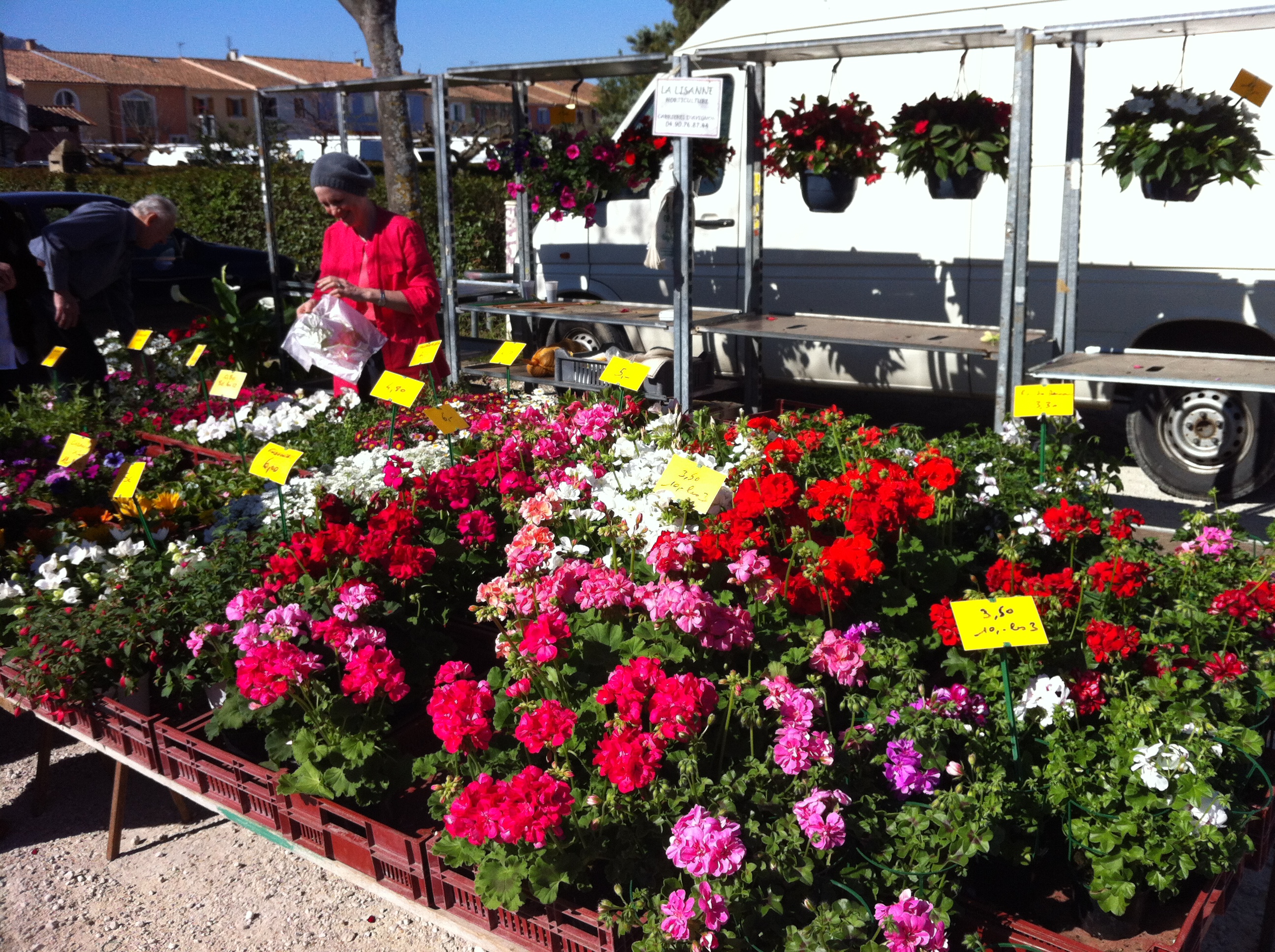 Coustellet Market Flowers